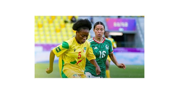 Satisfaction au Bénin, regrets au Mexique après le match